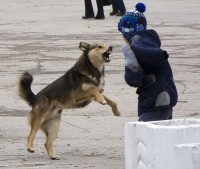   (CbsksAFRTqc.jpg, 71.03 Kb, 828 )
