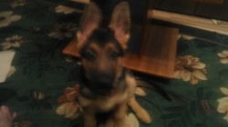   (IMG_20170323_210039_1.jpg, 69.94 Kb, 506 )