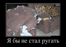   (9497476.jpg, 54.6 Kb, 1006 )