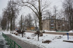   (DSC_3030.jpg, 267.33 Kb, 759 )