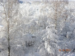   (4236894.Izobrazenie_1137.jpg, 327.12 Kb, 709 )