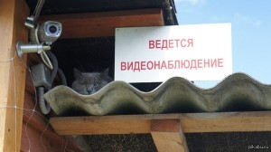   (KASRscH4YAQ.jpg, 42.56 Kb, 886 )