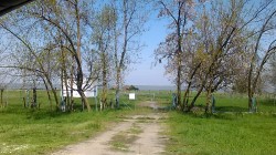   (IMG-1492681819839-V.jpg, 245.29 Kb, 362 )