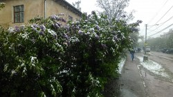   (IMG_20170423_144710.jpg, 228.77 Kb, 366 )