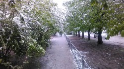   (IMG_20170423_172243.jpg, 248.97 Kb, 335 )