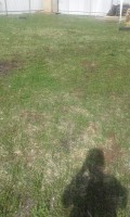   (IMG_20170503_093912_1.jpg, 212.96 Kb, 486 )