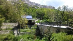   (IMG-1494062549356-V.jpg, 279.9 Kb, 350 )