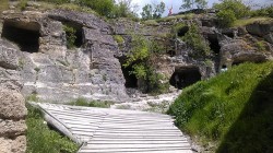   (IMG-1494065132459-V.jpg, 276.27 Kb, 337 )