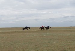   (IMG_0337.JPG, 117.43 Kb, 1007 )