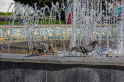   (DSC_8640.JPG, 256.61 Kb, 433 )