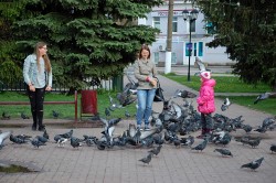   (DSC_8982.JPG, 241.66 Kb, 457 )