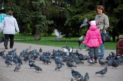   (DSC_8984.JPG, 221.87 Kb, 568 )