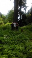   (IMG_20170717_075326_1.jpg, 205.51 Kb, 518 )