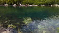   (IMG_20170717_144045_1.jpg, 197.3 Kb, 470 )