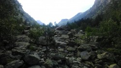   (IMG_20170717_142102_1.jpg, 174.66 Kb, 609 )