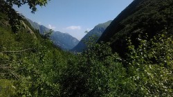   (IMG_20170718_093533_1.jpg, 240.42 Kb, 339 )
