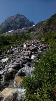   (IMG_20170718_093803_1.jpg, 247.91 Kb, 328 )