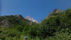   (IMG_20170718_093924_1.jpg, 214.71 Kb, 446 )