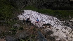   (IMG_20170718_095202_1.jpg, 254.42 Kb, 326 )