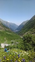   (IMG_20170718_113720.jpg, 223.57 Kb, 441 )