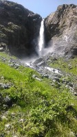   (IMG_20170718_121921.jpg, 290.94 Kb, 298 )