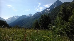   (1500445287663-1255981733.jpg, 204.88 Kb, 476 )