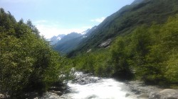   (1500448286520-1397836076.jpg, 180.91 Kb, 629 )