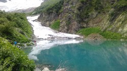   (1500454599326-583180771.jpg, 221.62 Kb, 447 )
