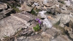   (IMG_20170722_084102.jpg, 309.46 Kb, 317 )