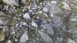   (IMG_20170722_083140.jpg, 323 Kb, 309 )