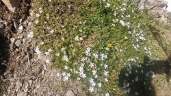   (IMG_20170722_084026.jpg, 353.48 Kb, 280 )