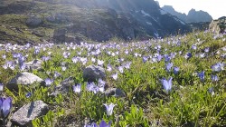   (IMG_20170721_170151.jpg, 308.34 Kb, 302 )