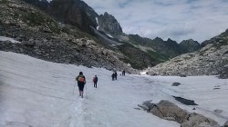   (IMG_20170722_130556.jpg, 162.56 Kb, 644 )