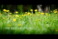 The end of spring
