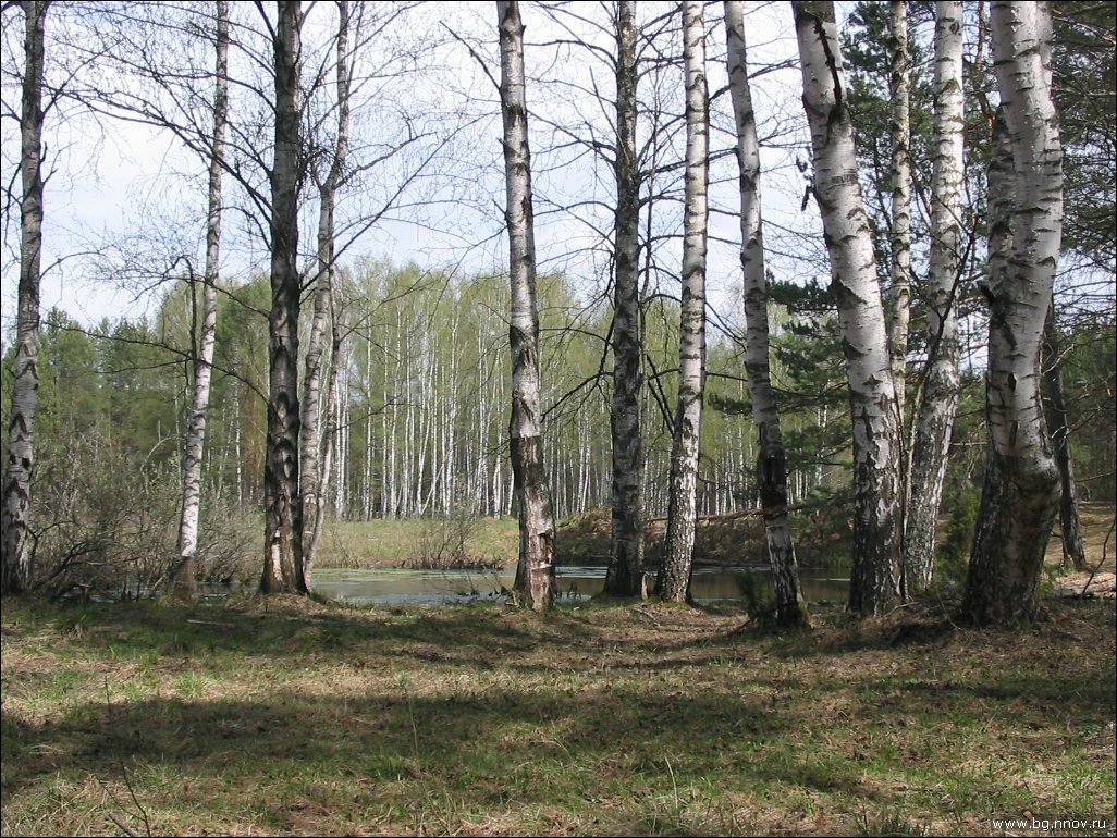 IMG_4005.JPG